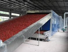 带式干燥机 带式干燥机