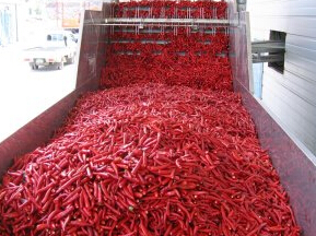 常州健达干燥生产的DWD系列带式干燥机 常州健达干燥生产的DWD系列带式干燥机