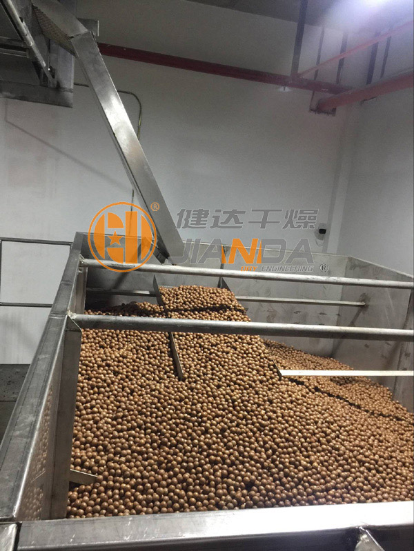 澳洲坚果干燥生产线